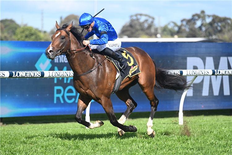 GOLDEN MILE winning the SCHWEPPES MING DYNASTY QUALITY at Rosehill in Australia.