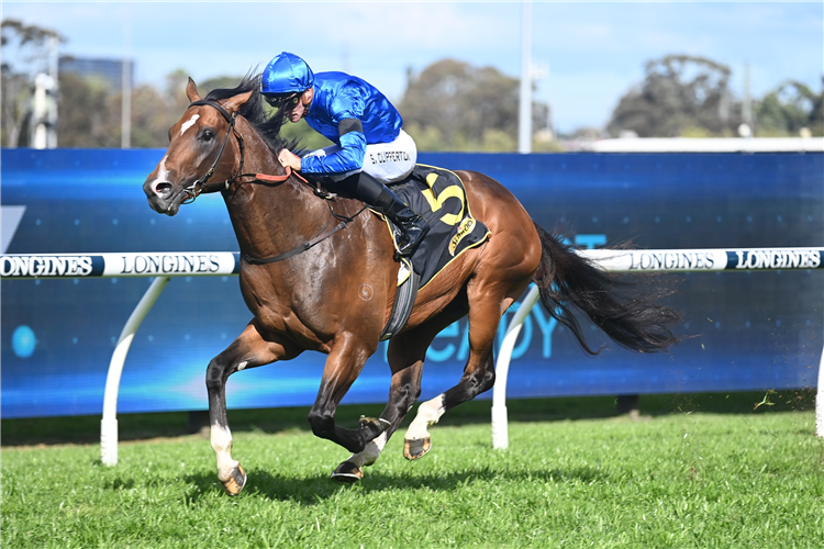 GOLDEN MILE winning the SCHWEPPES MING DYNASTY QUALITY at Rosehill in Australia.