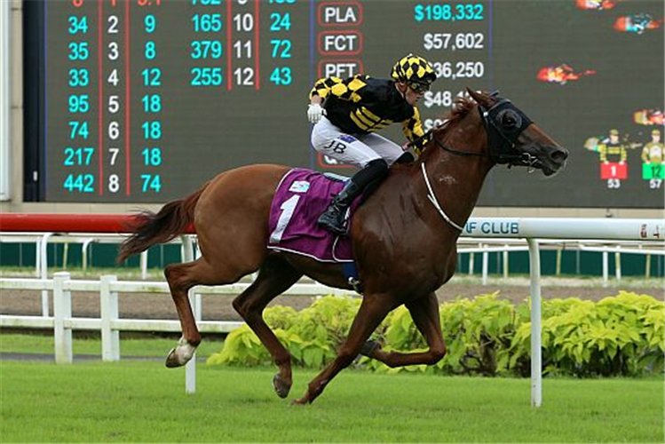 GOLDEN MONKEY winning the SINGAPORE THREE-YEAR-OLD CLASSIC GROUP 2