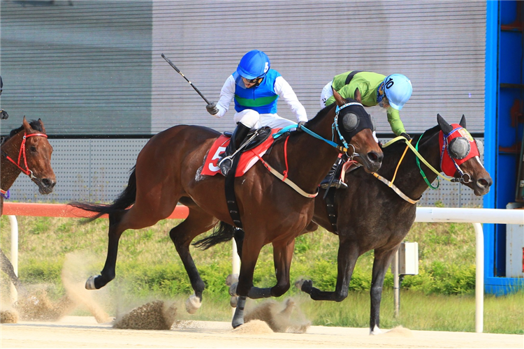 GOLDEN POWER winning the Class Open Special Weight A