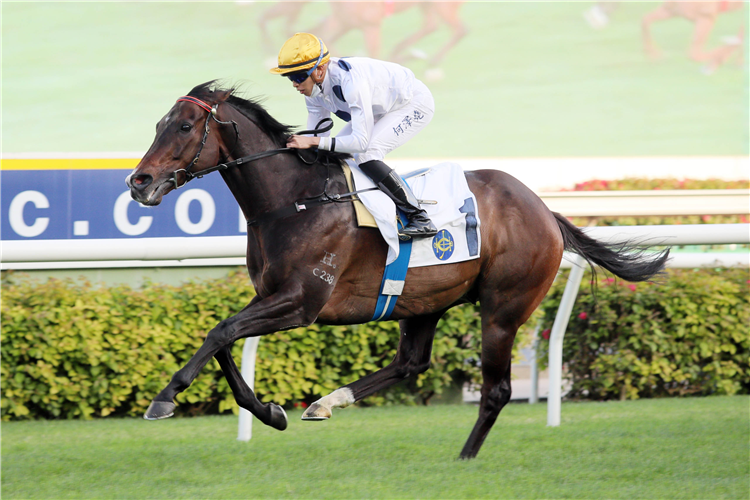 GOLDEN SIXTY winning the The Chairman's Trophy