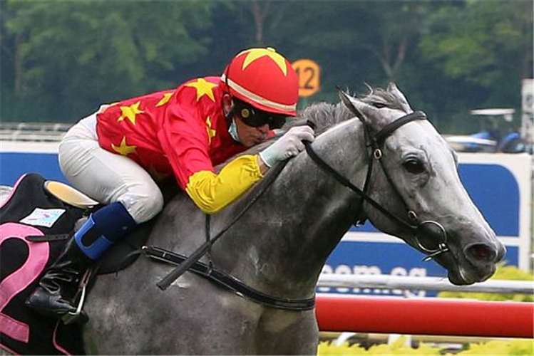 GRAND KOONTA winning the KRANJI STAKES A