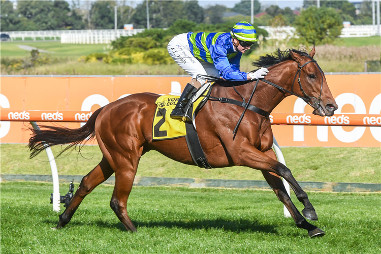 GRANDSLAM winning the VOBIS Gold Heath at Caulfield in Australia.