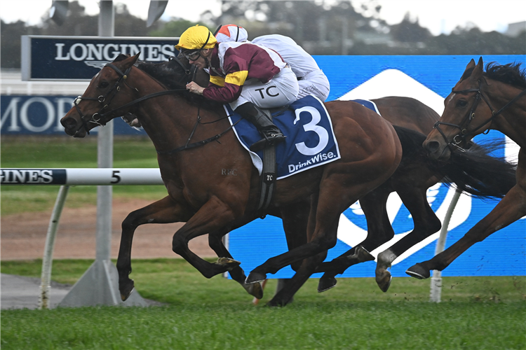 GROVE FERRY winning the Colin Stephen Quality at Rosehill in Australia.