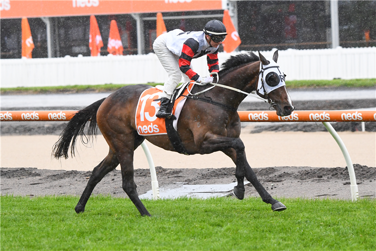 GUNSTOCK winning the Neds Coongy Cup in Caulfield, Australia.