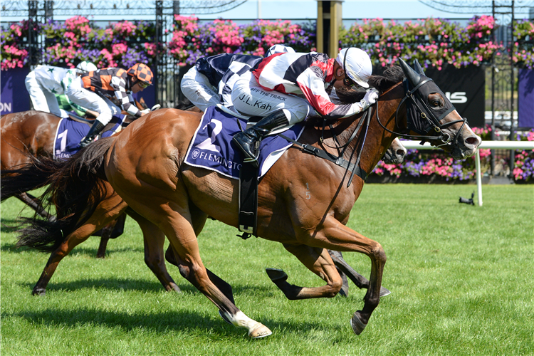 HALVORSEN winning the Standish Hcp at Flemington in Australia.