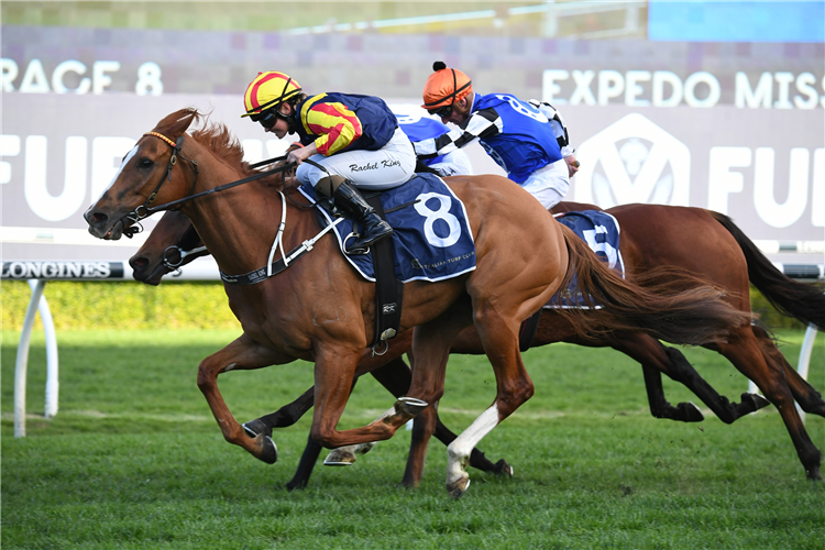 HARD EMPIRE winning the Expedo Missile Stakes at Randwick in Australia.