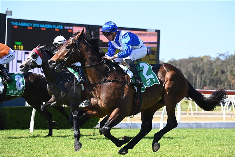 HAWAII FIVE OH winning the The Agency Mdn Plate at Wyong in Australia.