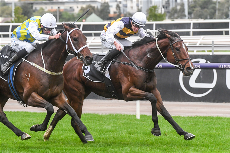 HEZASHOCKA winning the Melb. Cup Tour Hcp at Flemington in Australia.