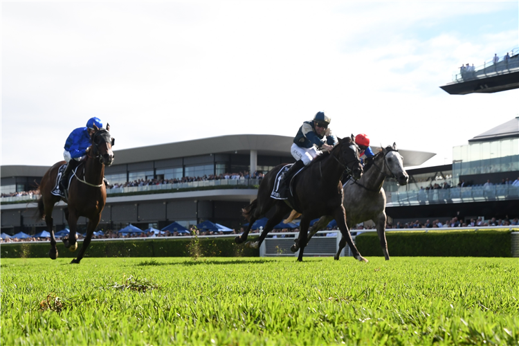 HITOTSU winning the Bentley Australian Derby at Randwick in Australia.