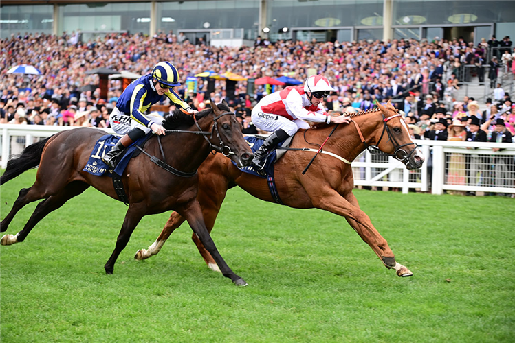 Holloway Boy winning the Chesham Stakes at Royal Ascot in England.