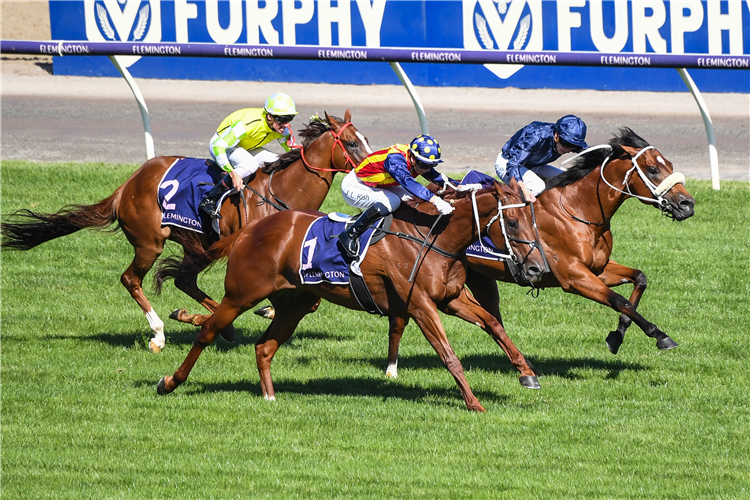 HOME AFFAIRS (blue cap) winning the Black Caviar Lightning at Flemington in Australia.