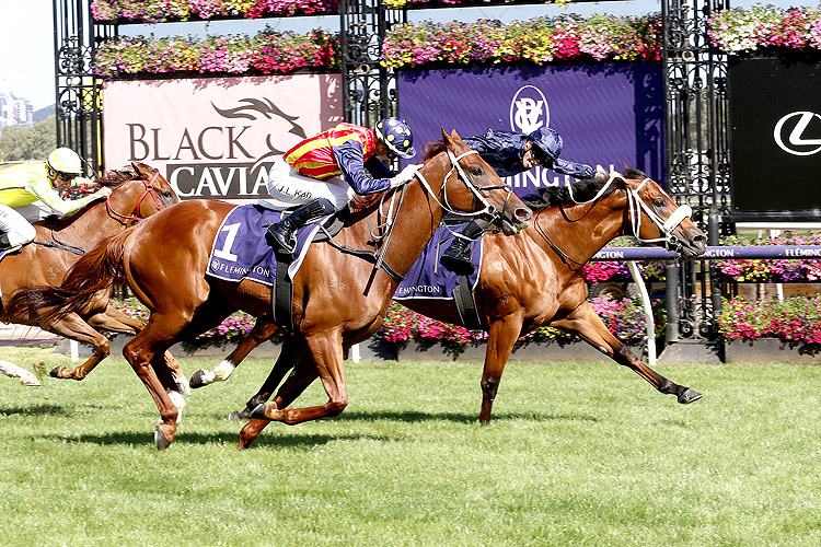 HOME AFFAIRS winning the Black Caviar Lightning