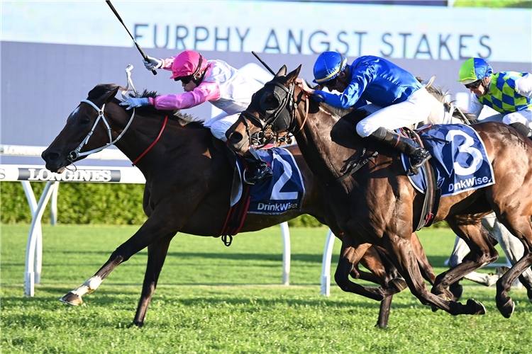 HOPE IN YOUR HEART winning the Angst Stakes at Randwick in Australia.