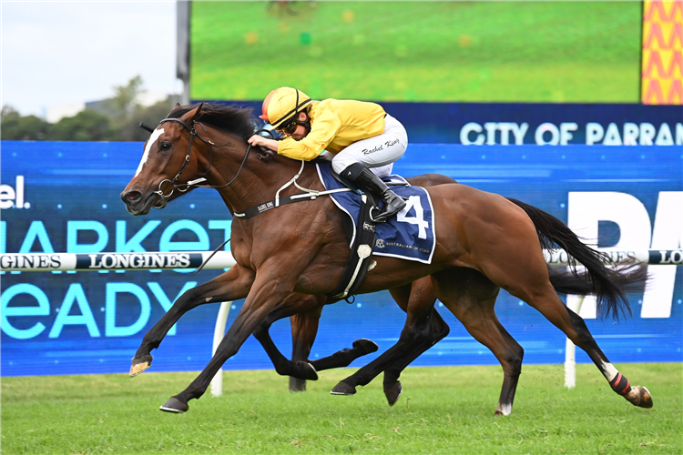HOPEFUL winning the City Of Parra. Lord Mayors Cup at Rosehill in Australia.