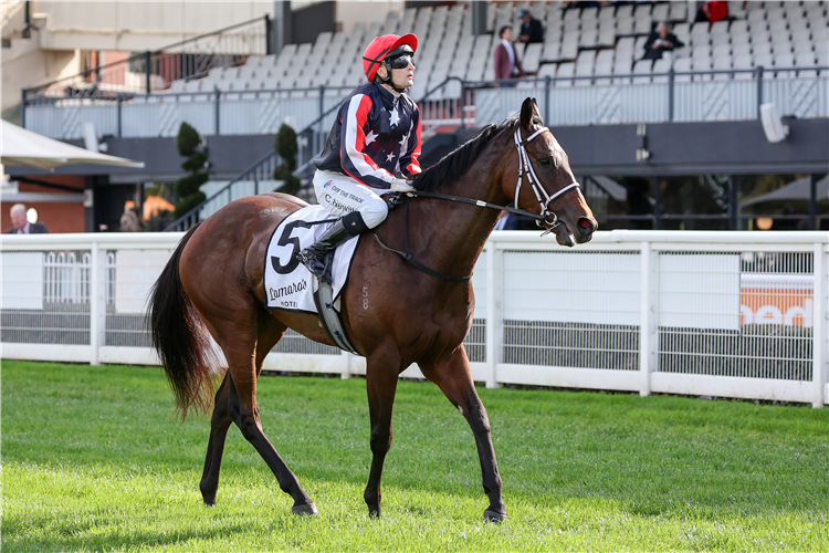 HOPON HARRY winning the Lamaro's Hotel Hcp at Caulfield in Australia.