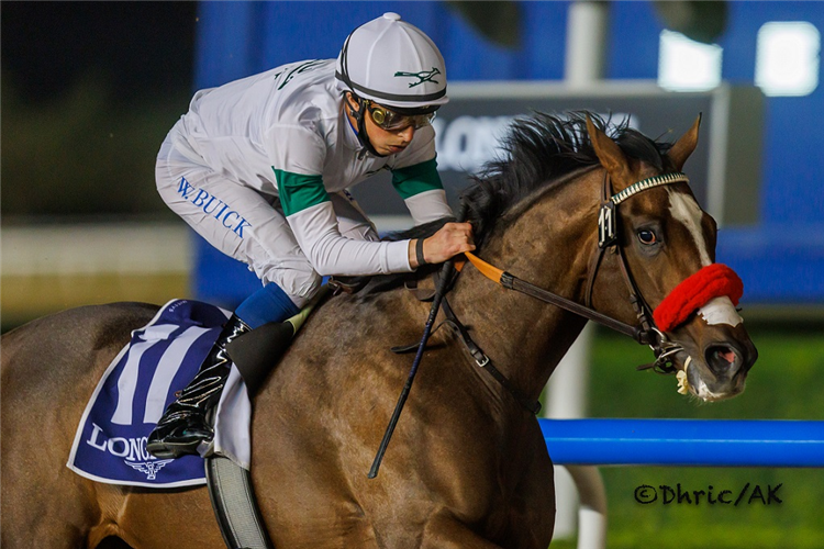 HOT ROD CHARLIE winning the Al Maktoum Challenge R2 Presented By The Longines Record