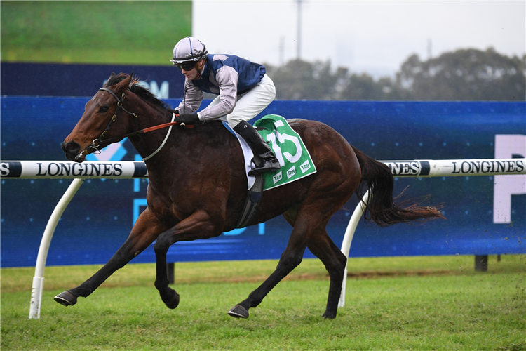 ICONIC DAME winning the Tab Highway Hcp (C3) at Rosehill in Australia.