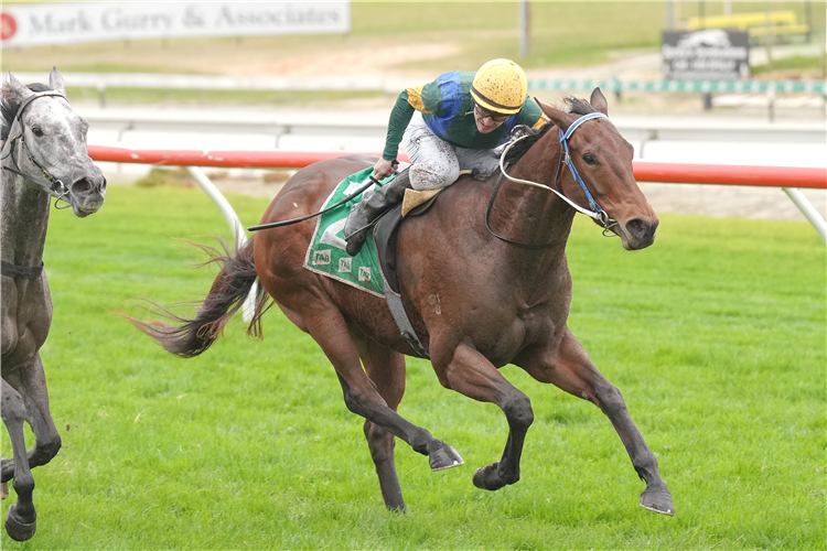 IDON'TGETIT winning the Gendore 3YO BM64 Handicap in Cranbourne, Australia.