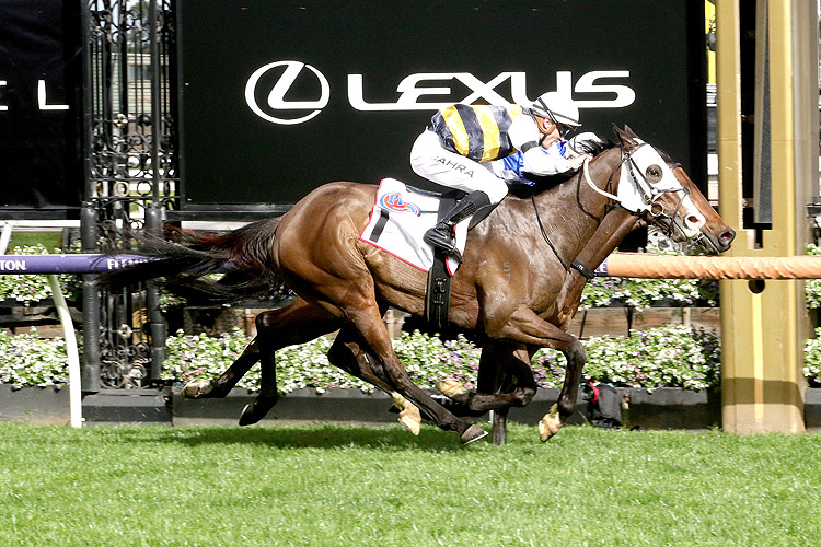 I'M THUNDERSTRUCK winning the PFD Food Services Makybe Diva Stakes.