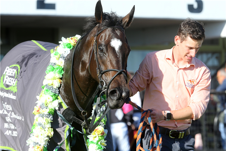 Imperatriz parades with strapper Hunter Durrant after her Te Rapa victory