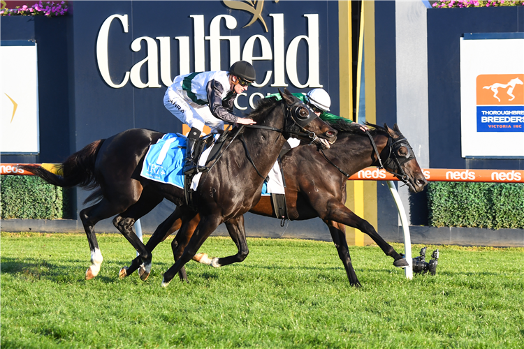 IMPERIAL LAD winning the VOBIS Gold Mile at Caulfield in Australia.