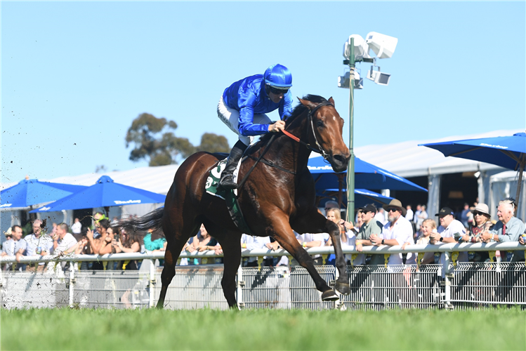 IN SECRET winning the Vinery Woodlands Stakes at Scone in Australia.