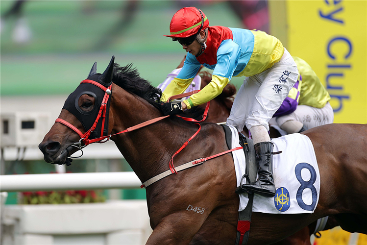 INDIGENOUS REALM winning the Hk Riding For The Disabled-C4