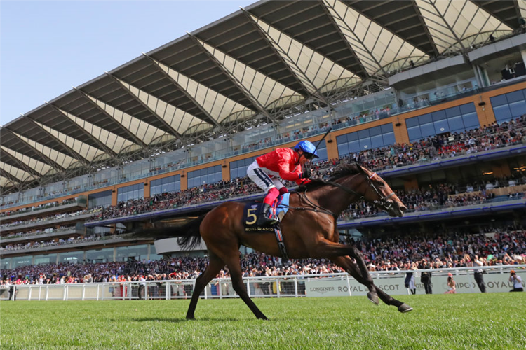 INSPIRAL was the winner of a Sun Chariot Stakes.