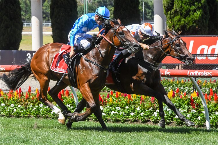 INVINCIBLE JET winning the Dominant Protect Brand Hcp at Moonee Valley in Australia.