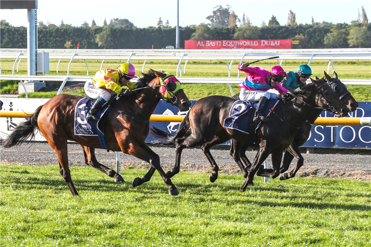Irish Girl (middle) gets in the deciding stride to capture the Listed Avon City Ford Easter Cup (1600m) at Riccarton