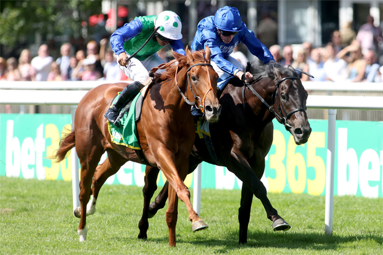 Isaac Shelby and Sean Levey (near) winning The bet365 Superlative Stakes