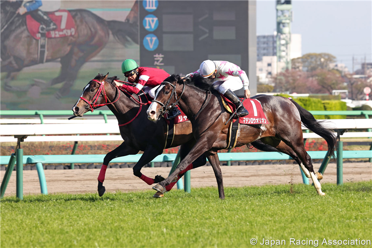 JEAN GROS (green cap) winning the New Zealand Trophy at Nakayama in Japan.