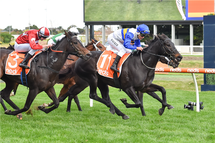 JIGSAW winning the Take It To The Neds Level-Bm78 at Caulfield in Australia.