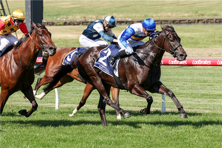 JIGSAW winning the Nick Johnstone Real Estate Christmas Stakes at Sandown Hillside in Australia.