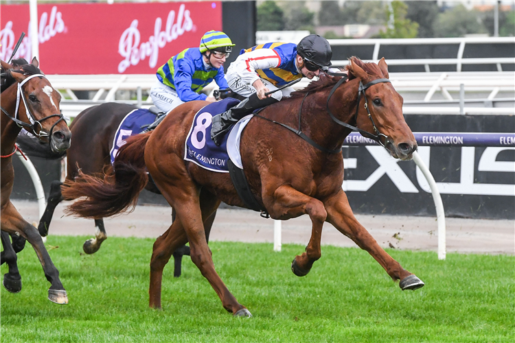 JIMMY THE BEAR winning the Silver Bowl Series Hcp at Flemington in Australia.