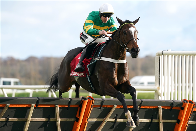 JONBON, who has been declared for the Highflyer Bloodstock Novices' Chase. 