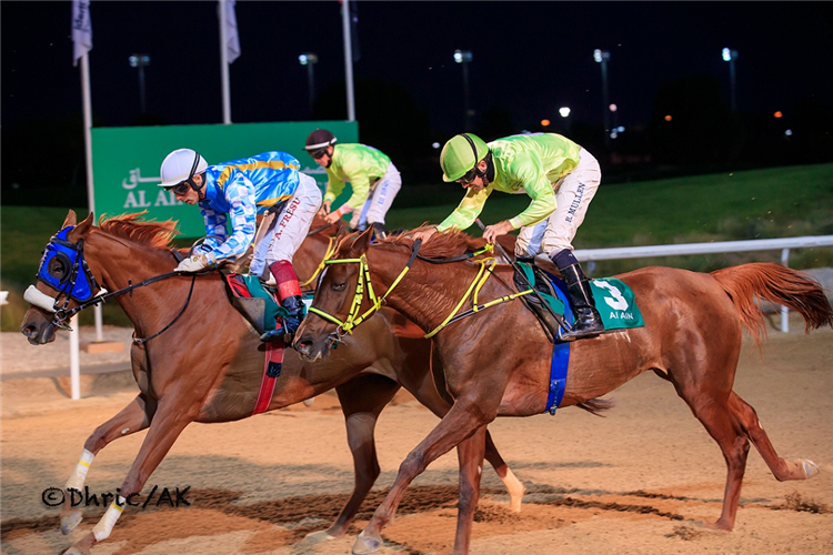 JOOD winning the Sponsored By UAE National Archive