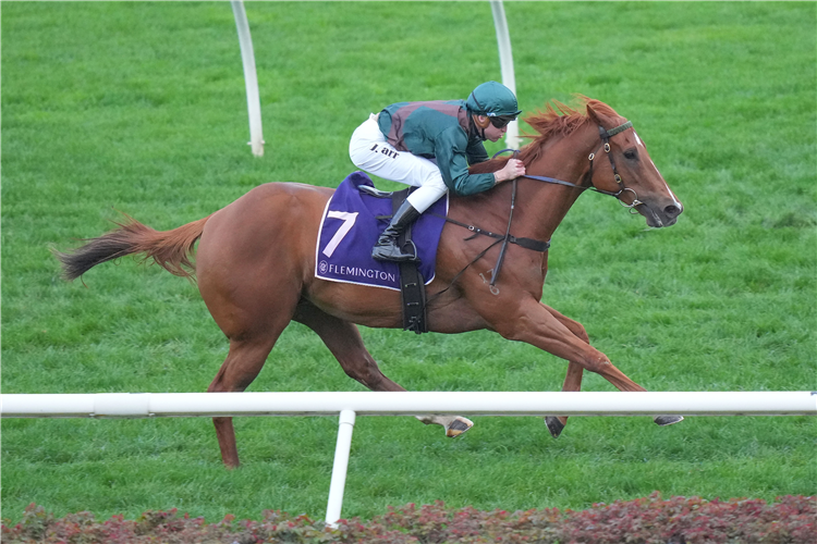 JOYFUL FORTUNE winning the Myer Fashions on the Field Sprint at Flemington in Australia.