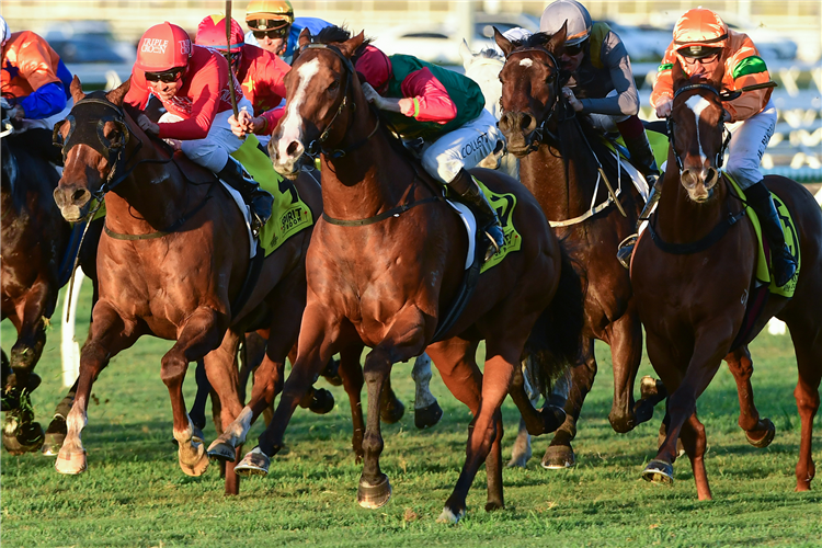 JUAN DIVA winning the Eureka Stud W.J. Healy Stakes