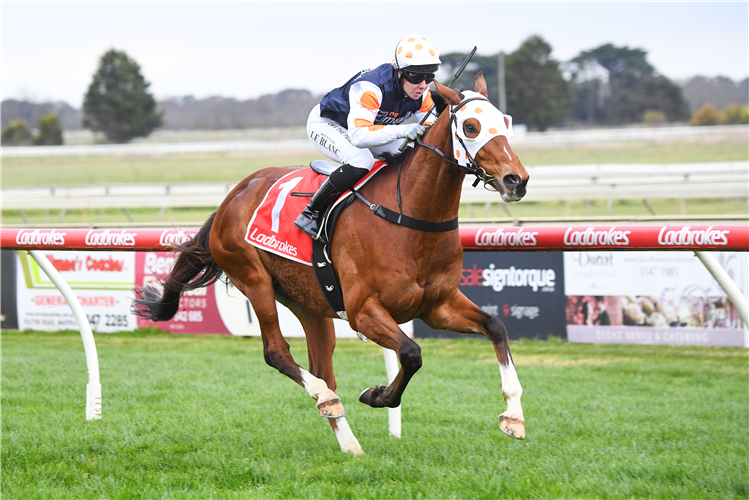 KEATS winning the Carlton Draught BM64 Handicap in Sale, Australia.