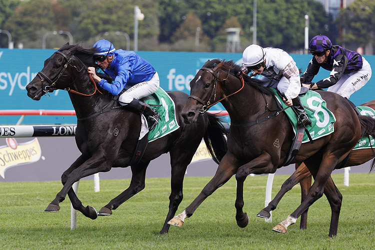 KEMENTARI winning the Tab Hall Mark Stakes