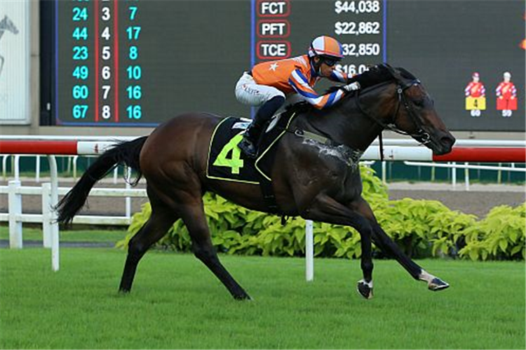 KING ARTHUR winning the GINGERBREAD MAN 2011 STAKES CLASS 2