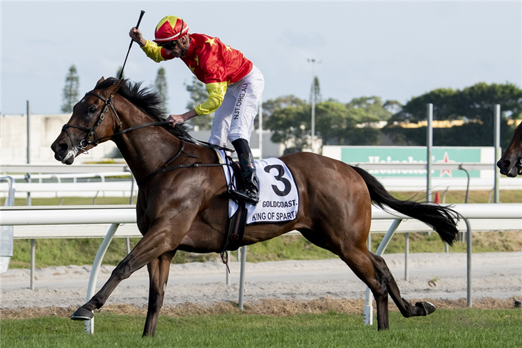 KING OF SPARTA winning the Gold Coast Magic Millions 3yo Guineas at Gold Coast in Australia.