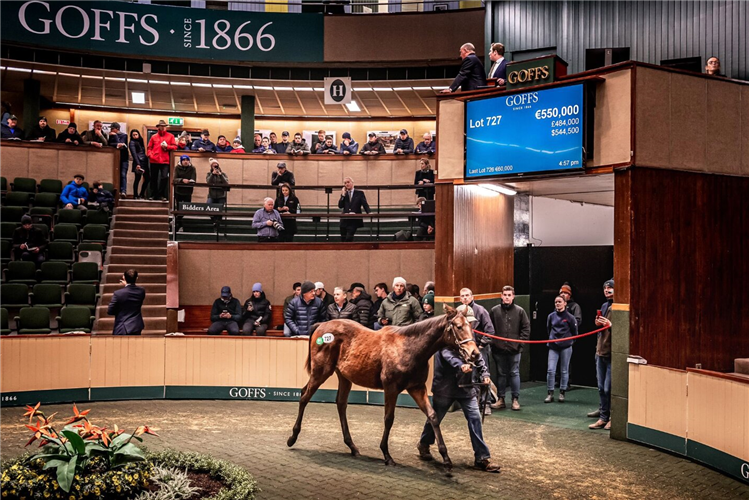 The sale topping Kingman colt