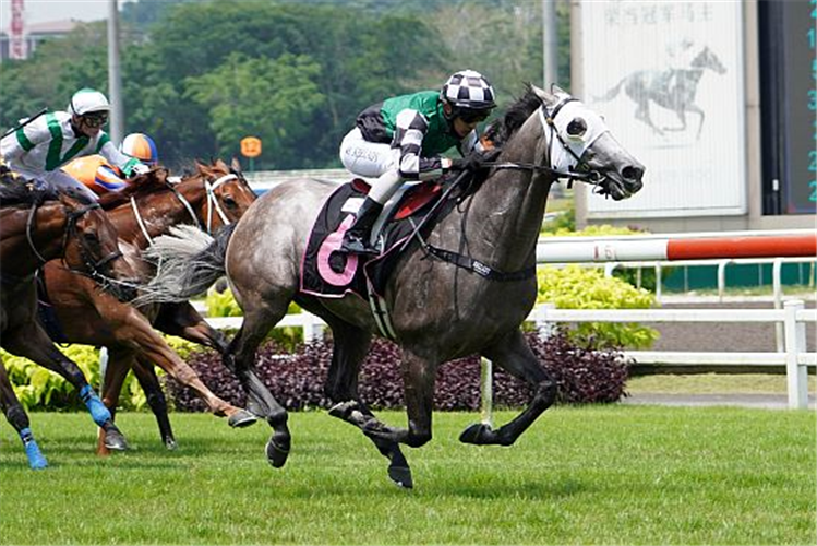 KING'S COMMAND winning the KRANJI STAKES B