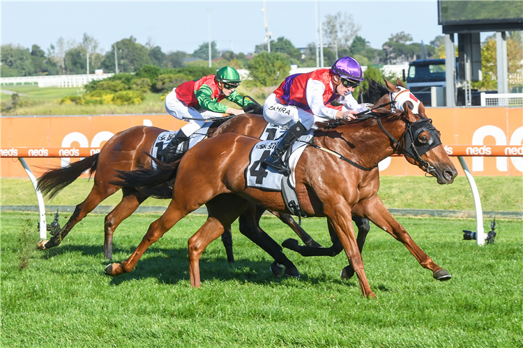 KINGS CONSORT winning the The Showdown at Caulfield in Australia.