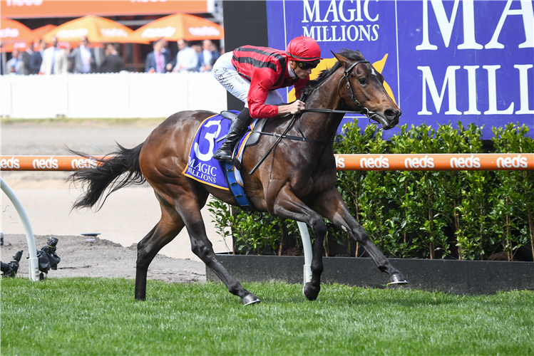 KING'S GAMBIT winning the Debutant Stakes