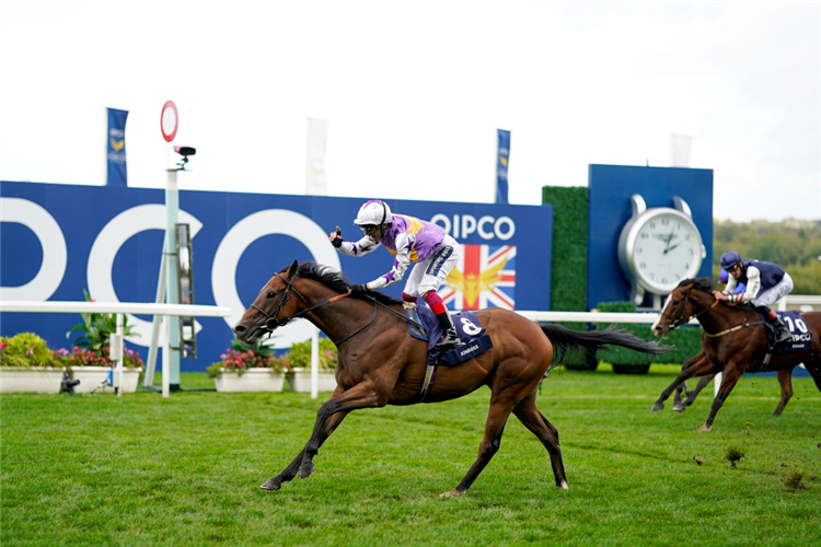 KINROSS winning the British Champions Sprint Stake at Ascot in England.