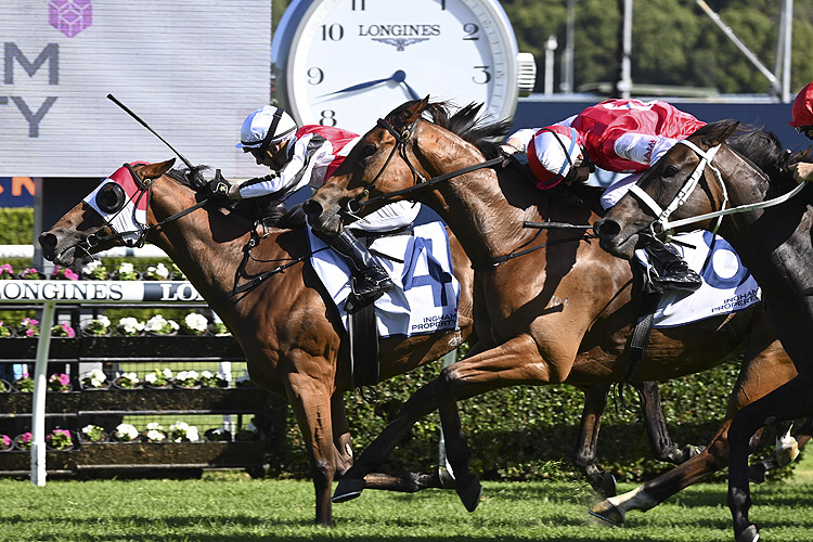 The Ingham Provides Many With A Big Carrot | Racing and Sports